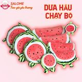  Gấu bông dưa hấu tròn vui ve SALOME 