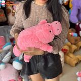  Gấu bông thú mỏ vịt dễ thương ôm ngủ 