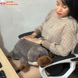  Gấu bông thú mỏ vịt dễ thương ôm ngủ 