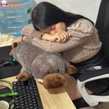  Gấu bông thú mỏ vịt dễ thương ôm ngủ 