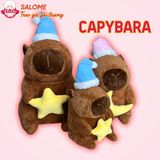  Gấu bông capybara đội nón ngủ ôm ngôi sao, ôm mặt trăng 