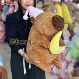  Gấu bông capybara đội nón ngủ ôm ngôi sao, ôm mặt trăng 