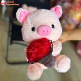  Gấu bông heo ôm hoa dễ thương 