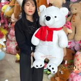  Gấu bông gấu bắc cực đeo khăn noel giáng sinh 