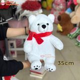  Gấu bông gấu bắc cực đeo khăn noel giáng sinh 