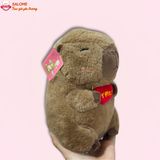  Gấu bông mini nhí 