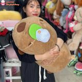  Gấu bông capybara nằm dài nón bóng chày dễ thương ôm ngủ 