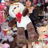  Gấu bông teddy mặt cười có nơ 