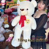  Gấu bông Teddy đủ mẫu đa dạng size 60cm tới 2m 