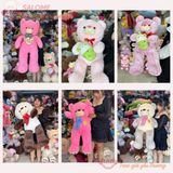  Gấu bông Teddy đủ mẫu đa dạng size 60cm tới 2m 