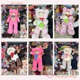  Gấu bông teddy ôm tim 