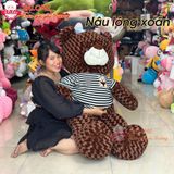  Gấu bông Teddy đủ mẫu đa dạng size 60cm tới 2m 