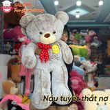  Gấu bông Teddy đủ mẫu đa dạng size 60cm tới 2m 