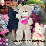  Gấu bông Teddy đủ mẫu đa dạng size 60cm tới 2m 
