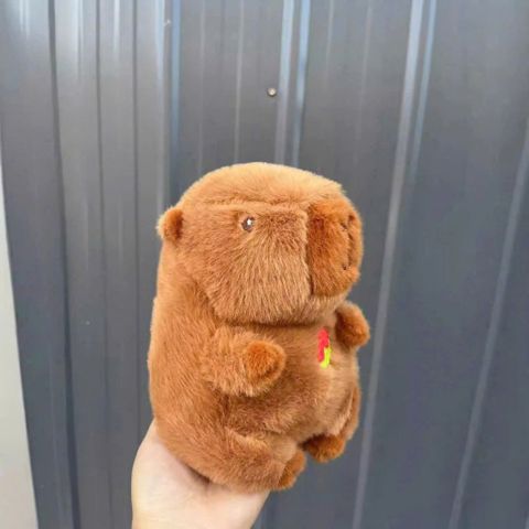  Gấu bông mini nhí 