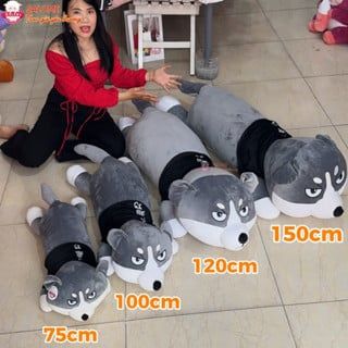  Gấu bông chó Husky 