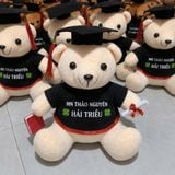  Gấu bông tốt nghiệp giá sỉ size 20cm dễ thương 