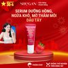  Serum Dưỡng Hồng, Ngừa Khô, Mờ Thâm Môi Dâu Tây 6g - Mềm Môi, Hồng Môi Tự Nhiên, Căng Mọng, Không Chứa Chì, Dưỡng Môi, Son Dưỡng 