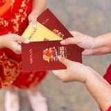  Bao Lì Xì Xuân Bính Ngọ SHeGAN 2026, Chất Liệu Kraft Cao Cấp, Màu Ngẫu Nhiên (10 Phong Bì) 