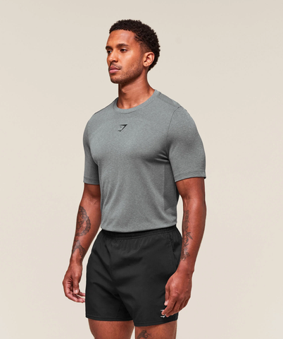  GYMSHARK Lightweight Seamless T-Shirt - Light Grey/Smokey Grey 