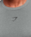  GYMSHARK Lightweight Seamless T-Shirt - Light Grey/Smokey Grey 