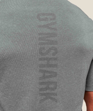  GYMSHARK Lightweight Seamless T-Shirt - Light Grey/Smokey Grey 