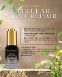  Serum sêu tái tạo phục hồi da ban đêm - Skin Therapy Cellular Night Repair Serum - Être Belle 