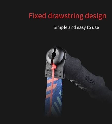  Gậy Chạy Trail Aonijie E4204 Carbon Trekking Pole - Đen (Mẫu mới) 