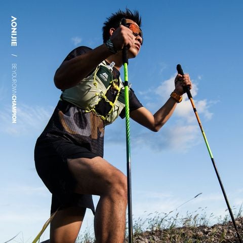  Gậy Chạy Trail Aonijie E4204 Carbon Trekking Pole - Xanh Lá 