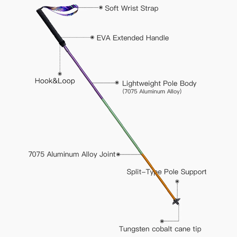  Gậy Chạy Trail Carbon Aonijie E4201 Gấp Gọn - Tím 