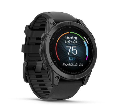  Đồng Hồ GPS Garmin Fenix E – 47 mm, AMOLED - Slate Gray Steel with Black Silicone Band 
