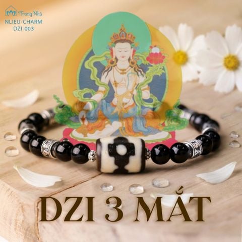 Dzi 3 mắt (DZI 003)