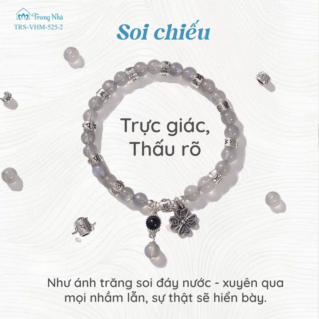 Siêu Chú Hộ Tâm - Hành Trình chuyển hoá cảm xúc tiêu cực thành sức mạnh (TRS VHM 525 )