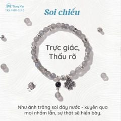 Siêu Chú Hộ Tâm - Hành Trình chuyển hoá cảm xúc tiêu cực thành sức mạnh (TRS VHM 525 )
