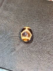 Dzi mai rùa ( Dzi 004 )