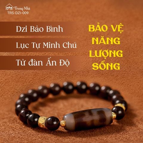Dzi Bảo Bình ( Dzi 009 )