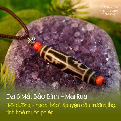 Dzi Bảo Bình ( Dzi 025 )