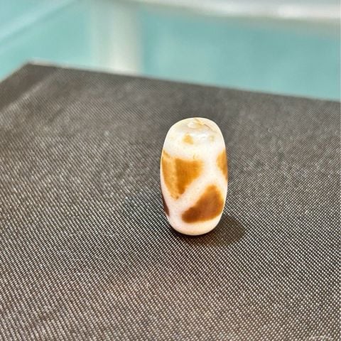 Dzi mai rùa ( Dzi 004 )