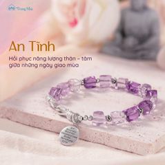 Vòng thạch anh tím charm dược sư ( TRS VHM 051 )