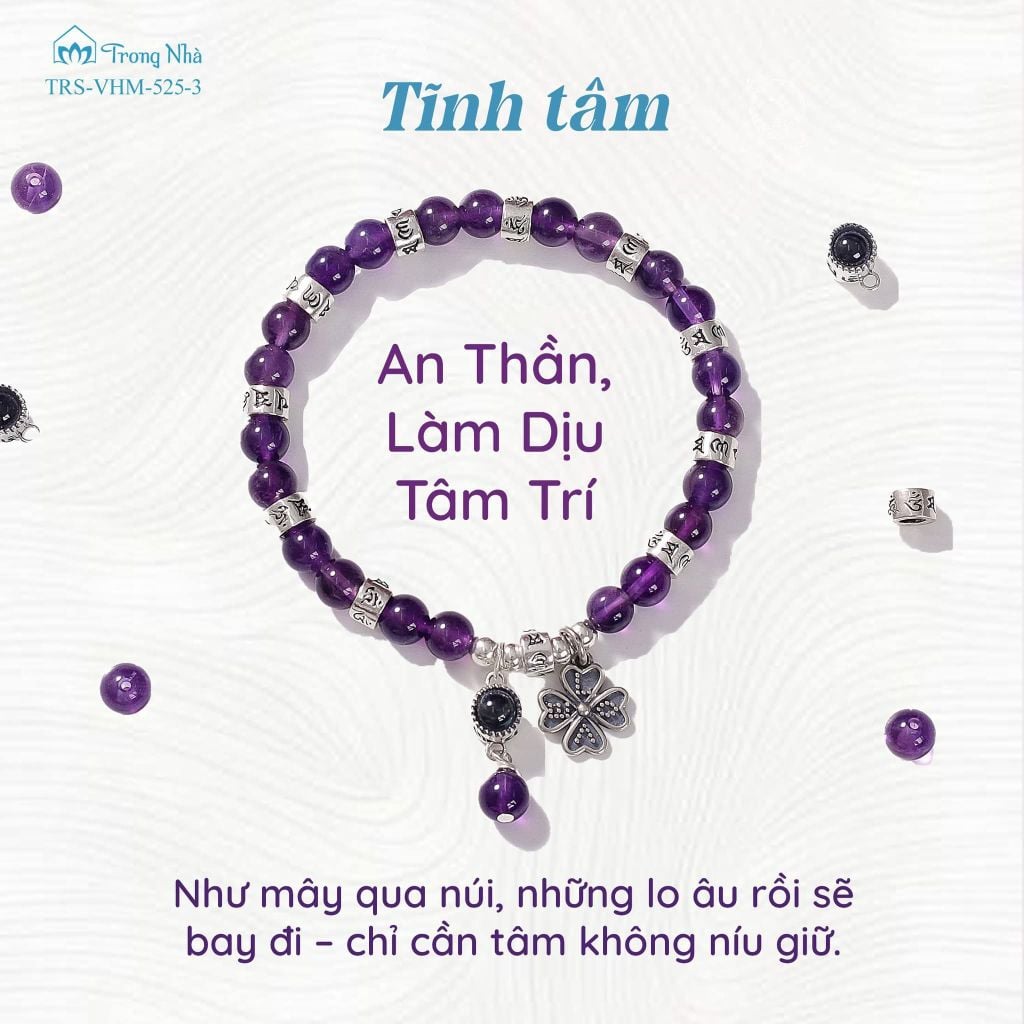 Siêu Chú Hộ Tâm - Hành Trình chuyển hoá cảm xúc tiêu cực thành sức mạnh (TRS VHM 525 )