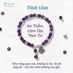 Siêu Chú Hộ Tâm - Hành Trình chuyển hoá cảm xúc tiêu cực thành sức mạnh (TRS VHM 525 )