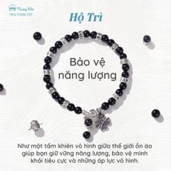 Siêu Chú Hộ Tâm - Hành Trình chuyển hoá cảm xúc tiêu cực thành sức mạnh (TRS VHM 525 )