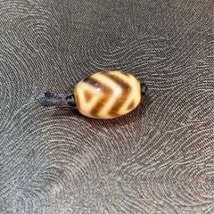 Dzi Sóng Nước ( DZI 015 )