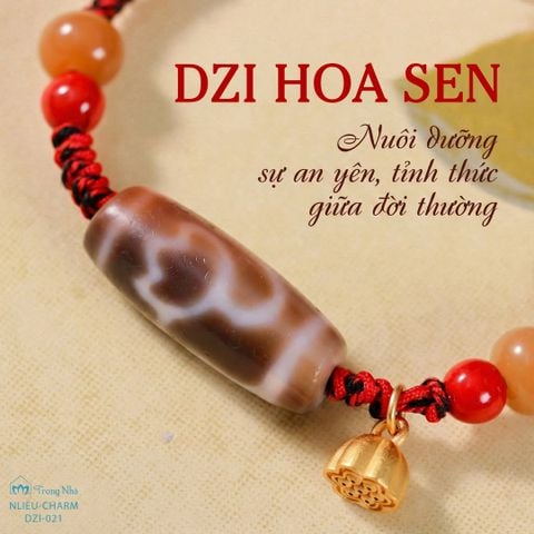 Dzi Hoa sen  ( DZI 021 )