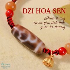 Dzi Hoa sen  ( DZI 021 )