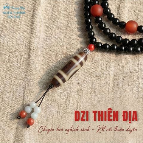 Dzi thiên địa ( NLIEU CHARM DZI 016 )