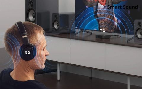  Preamp Arylic Bluetooth BT10 