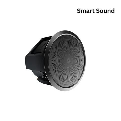 loa ic6/iw6 Wide giải pháp âm thanh cao cấp cho biệt thự