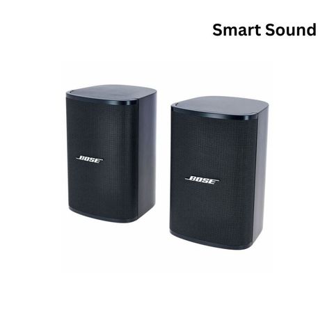 Bose DesignMax DM3SE