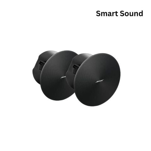 Bose DesignMax DM5C